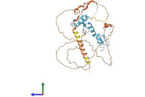AlphaFold protein structure predicition of Mouse Recombinant Klf17 Protein, UniprotID Q8CFA7