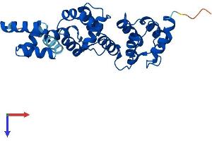 AlphaFold protein structure predicition of Human Recombinant DCUN1D2 Protein, UniprotID Q6PH85
