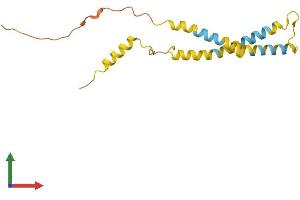 AlphaFold protein structure predicition of Mouse Recombinant Ociad2 Protein, UniprotID Q9D8W7