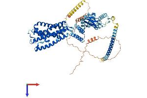 AlphaFold protein structure predicition of Mouse Recombinant Cnga1 Protein, UniprotID P29974