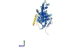 AlphaFold protein structure predicition of Mouse Recombinant Grk2 Protein, UniprotID Q99MK8