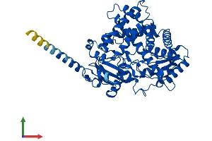 AlphaFold protein structure predicition of Human Recombinant CYP2R1 Protein, UniprotID Q6VVX0
