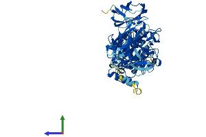 AlphaFold protein structure predicition of Human Recombinant TGM7 Protein, UniprotID Q96PF1