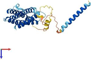 AlphaFold protein structure predicition of Mouse Recombinant Rgs9bp Protein, UniprotID Q148R9