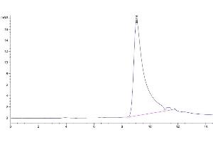 The purity of Mouse IL-5 Protein is greater than 95 % as determined by SEC-HPLC.