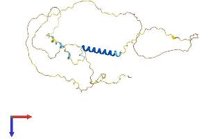 AlphaFold protein structure predicition of Mouse Recombinant Jsrp1 Protein, UniprotID Q3MI48