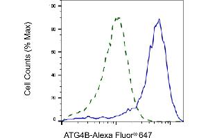 Validation of ATG4B knockdown using flow cytometry.