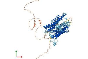 AlphaFold protein structure predicition of Human Recombinant SLC23A2 Protein, UniprotID Q9UGH3