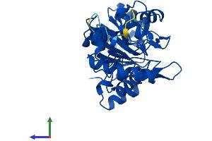 AlphaFold protein structure predicition of Human Recombinant PDXP Protein, UniprotID Q96GD0
