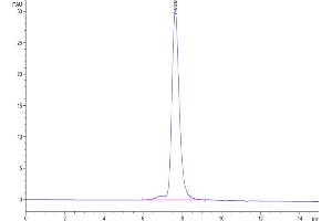 The purity of Human KIR2DL3 is greater than 95 % as determined by SEC-HPLC.
