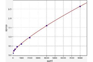 Galectin 7 (LGALS7) ELISA Kit