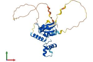 AlphaFold protein structure predicition of Human Recombinant CISH Protein, UniprotID Q9NSE2