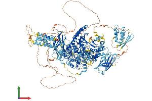 AlphaFold protein structure predicition of Mouse Recombinant Pik3c2g Protein, UniprotID O70167