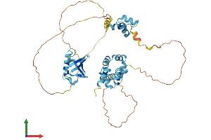 AlphaFold protein structure predicition of Mouse Recombinant Rad23b Protein, UniprotID P54728