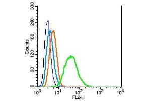 RSC96 probed with CDKN1B Polyclonal Antibody, Unconjugated  at 1:100 for 30 minutes followed by incubation with a conjugated secondary (PE Conjugated) (green) for 30 minutes compared to control cells (blue), secondary only (light blue) and isotype control (orange). (CDKN1B anticorps  (AA 150-198))