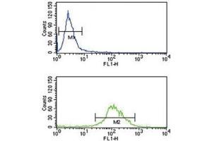 TAT antibody flow cytometry analysis of K562 cells (green) compared to a&nbsp (Tat (AA 279-306) anticorps)