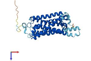 AlphaFold protein structure predicition of Mouse Recombinant Taar2 Protein, UniprotID Q5QD17