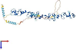 AlphaFold protein structure predicition of Mouse Recombinant Lpxn Protein, UniprotID Q99N69