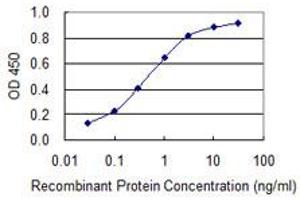 Detection limit for recombinant GST tagged BRCA2 is 0.