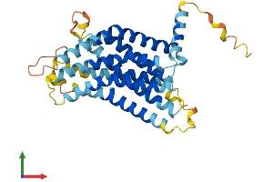 AlphaFold protein structure predicition of Mouse Recombinant Gpr146 Protein, UniprotID Q99LE2
