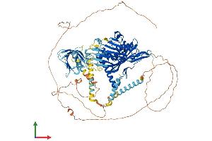 AlphaFold protein structure predicition of Human Recombinant OSBPL8 Protein, UniprotID Q9BZF1