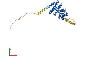 AlphaFold protein structure predicition of Mouse Recombinant Mro Protein, UniprotID Q7TNB4