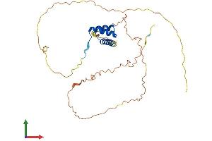 AlphaFold protein structure predicition of Mouse Recombinant Nanog Protein, UniprotID Q80Z64
