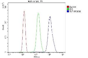 Flow Cytometry analysis of THP-1 cells using anti-Transketolase/TKT antibody (ABIN7598959). (TKT anticorps  (AA 1-116))