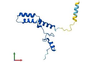 AlphaFold protein structure predicition of Mouse Recombinant Mrps14 Protein, UniprotID Q9CR88