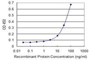 Detection limit for recombinant GST tagged FAM3B is 1 ng/ml as a capture antibody. (FAM3B anticorps  (AA 1-235))