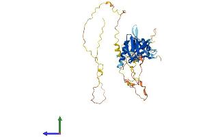 AlphaFold protein structure predicition of Human Recombinant DOK2 Protein, UniprotID O60496