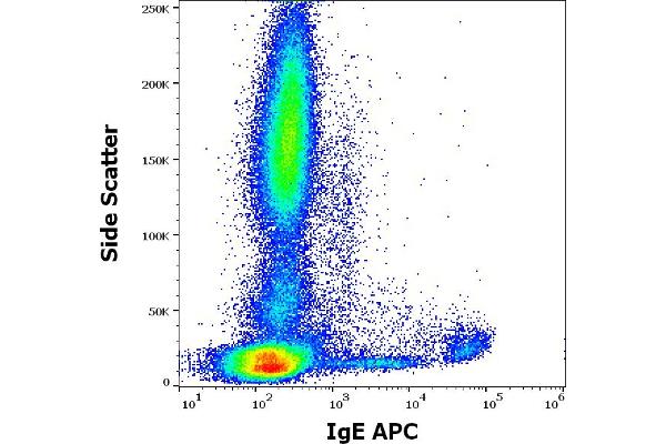 IgE anticorps  (APC)