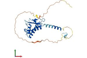 AlphaFold protein structure predicition of Mouse Recombinant Btg4 Protein, UniprotID O70552