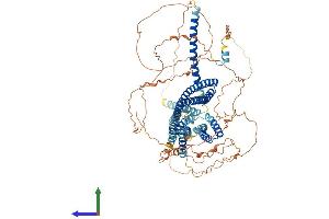AlphaFold protein structure predicition of Human Recombinant DISC1 Protein, UniprotID Q9NRI5