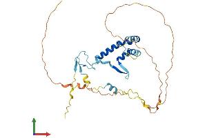 AlphaFold protein structure predicition of Mouse Recombinant Spry2 Protein, UniprotID Q9QXV8