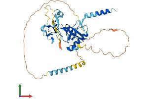 AlphaFold protein structure predicition of Human Recombinant ZCWPW2 Protein, UniprotID Q504Y3