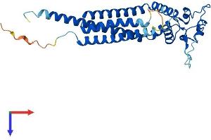 AlphaFold protein structure predicition of Mouse Recombinant Tspan33 Protein, UniprotID Q8R3S2