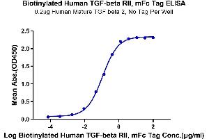 Immobilized Human Mature TGF beta 2, No Tag at 2 μg/mL (100 μL/Well) on the plate.