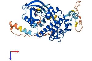AlphaFold protein structure predicition of Mouse Recombinant Map2k2 Protein, UniprotID Q63932