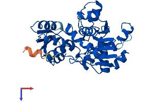 AlphaFold protein structure predicition of Mouse Recombinant Sdsl Protein, UniprotID Q8R238