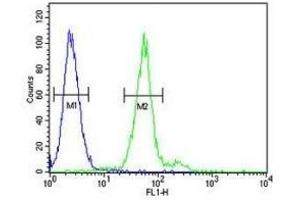 TPSAB1 antibody flow cytometric analysis of 293 cells (green) compared to a negative control cell (blue).