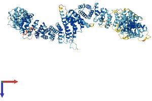 AlphaFold protein structure predicition of Human Recombinant MEI1 Protein, UniprotID Q5TIA1