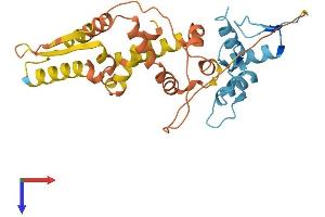 AlphaFold protein structure predicition of Mouse Recombinant Klf7 Protein, UniprotID Q99JB0