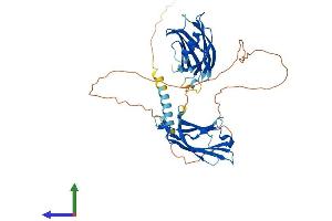 AlphaFold protein structure predicition of Human Recombinant SYT4 Protein, UniprotID Q9H2B2