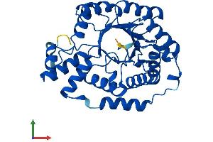 AlphaFold protein structure predicition of Human Recombinant DERA Protein, UniprotID Q9Y315
