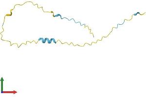 AlphaFold protein structure predicition of Human Recombinant XAGE3 Protein, UniprotID Q8WTP9