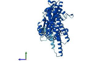 AlphaFold protein structure predicition of Human Recombinant FTCD Protein, UniprotID O95954