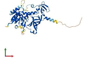 AlphaFold protein structure predicition of Human Recombinant TRMU Protein, UniprotID O75648