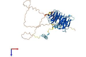 AlphaFold protein structure predicition of Human Recombinant PLRG1 Protein, UniprotID O43660