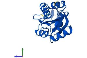 AlphaFold protein structure predicition of Mouse Recombinant Mdp1 Protein, UniprotID Q9D967